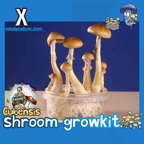 Is it lawful to acquire spores for growing magical fungi